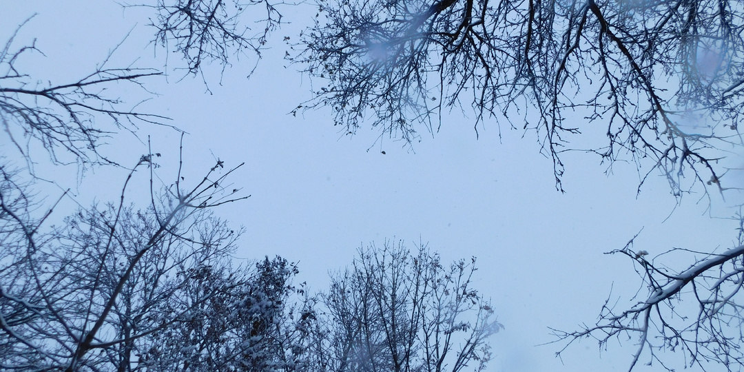 Мелодия старой гармони (часть 17)