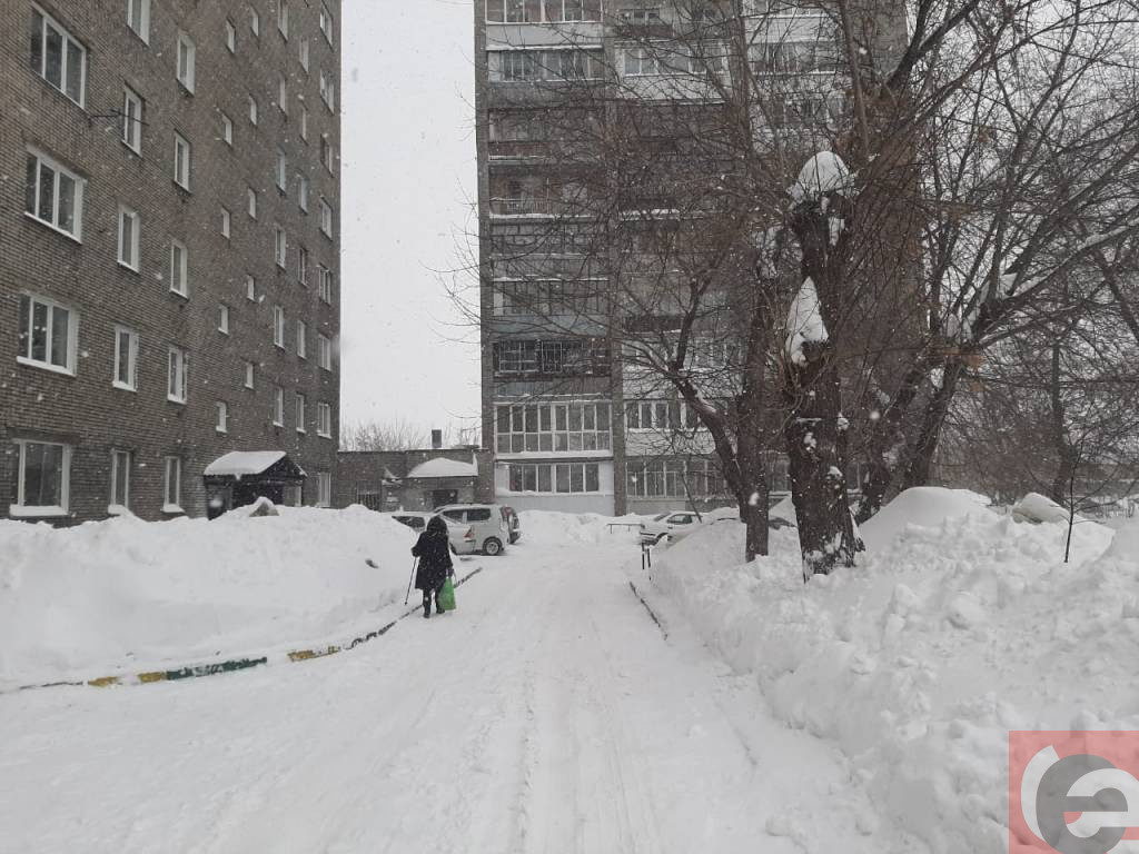    Фото: Прецедент