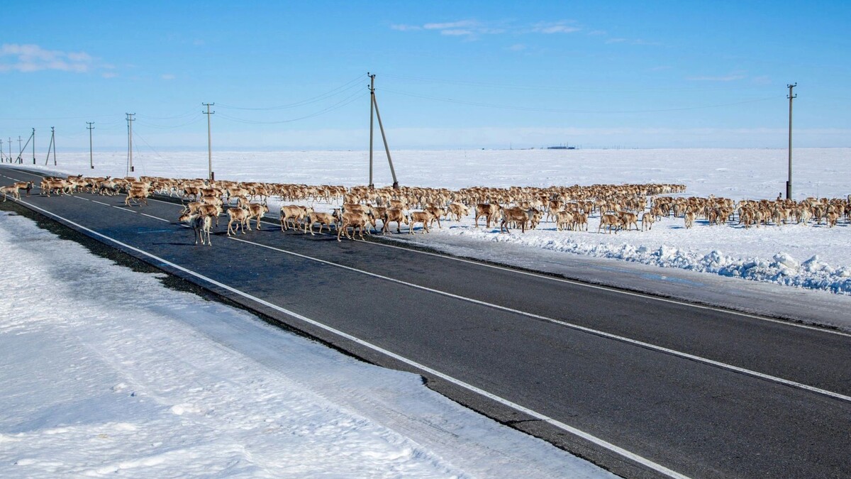    Фото: evgenii mitroshin/Shutterstock/Fotodom
