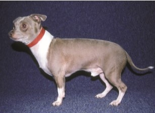 Библиотека Фермера - https://vk.com/docs-228859671