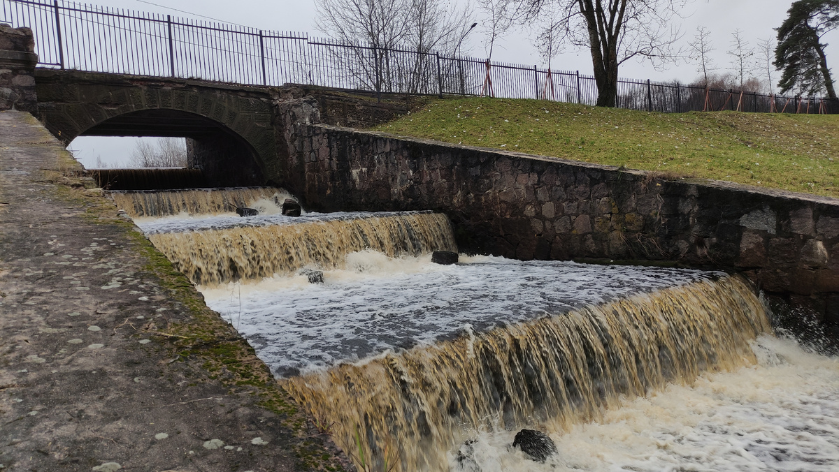 фото - авторское право #di_vito