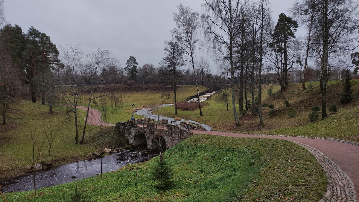 фото - авторское право #di_vito