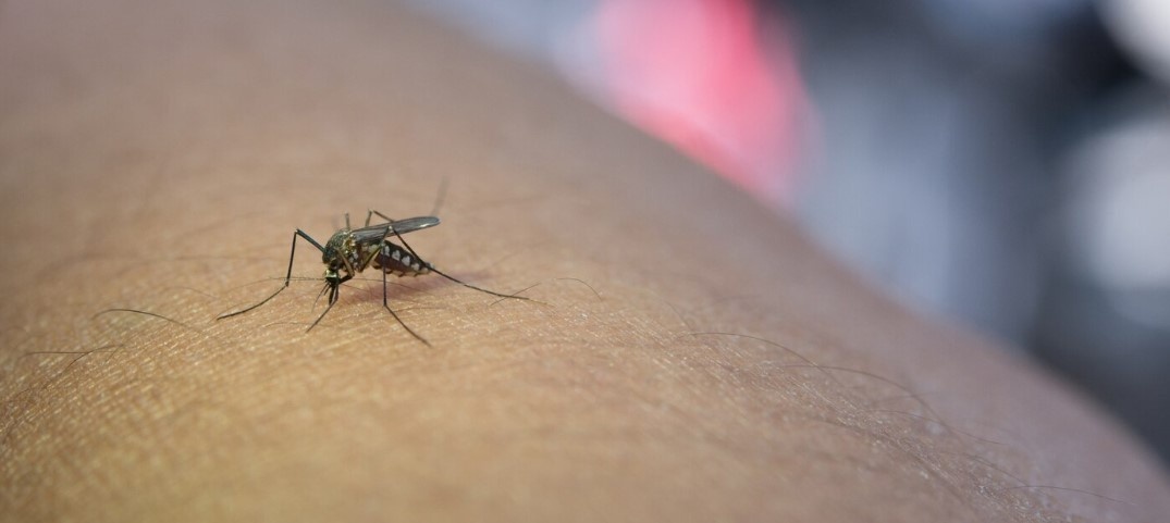    фото: фрипик