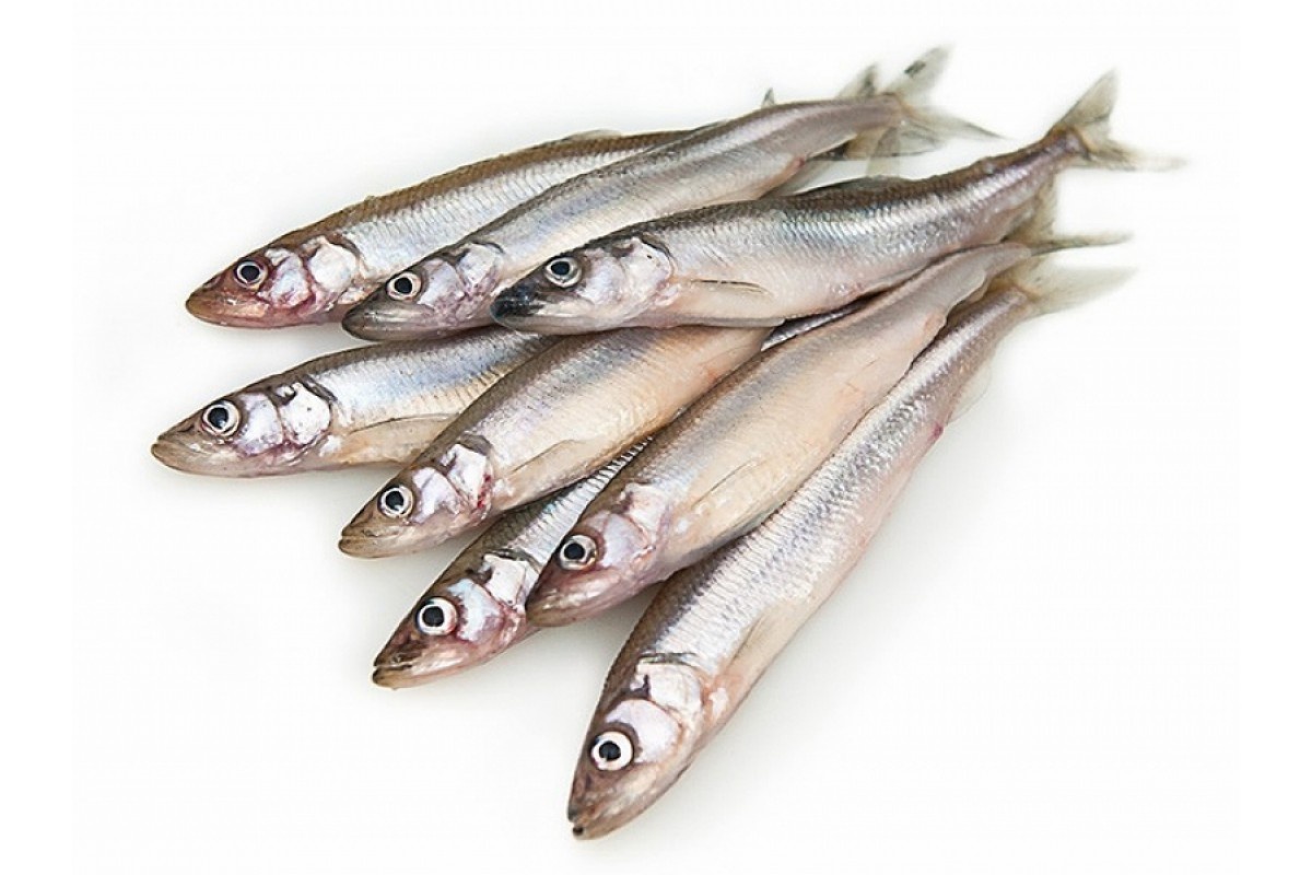 Фото с сайта: https://shop.sudzhuk.ru/index.php?route=product/product&path=60_69&product_id=431