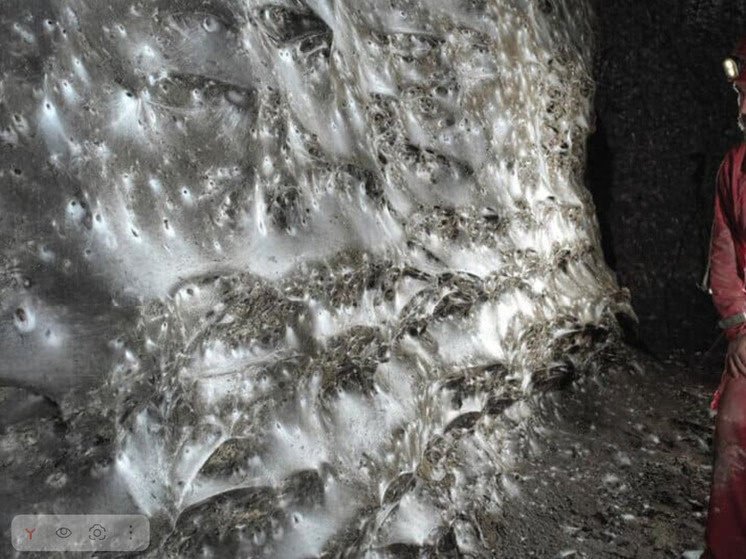     ФОТО: Traian Brad et al. / Subterranean Biology, 2025