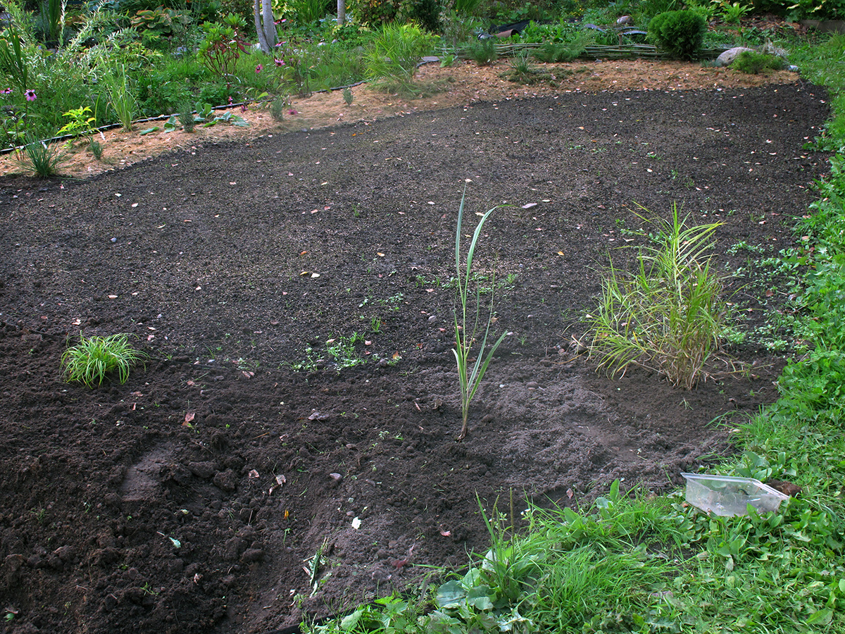Следующим летом была такой📷   Паучок зелененький слева — это она📷     Следующим летом была такой
