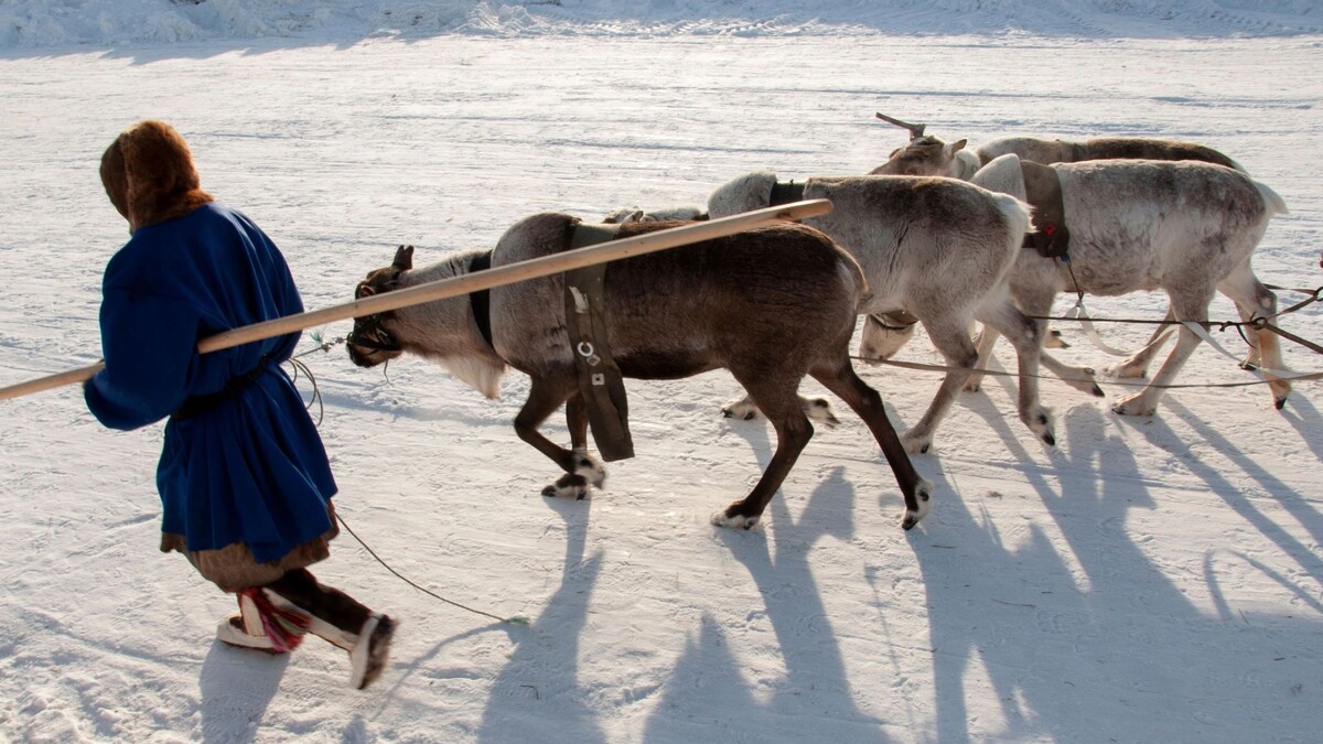    Фото: Oksana_Shmatok/Shutterstock/Fotodom