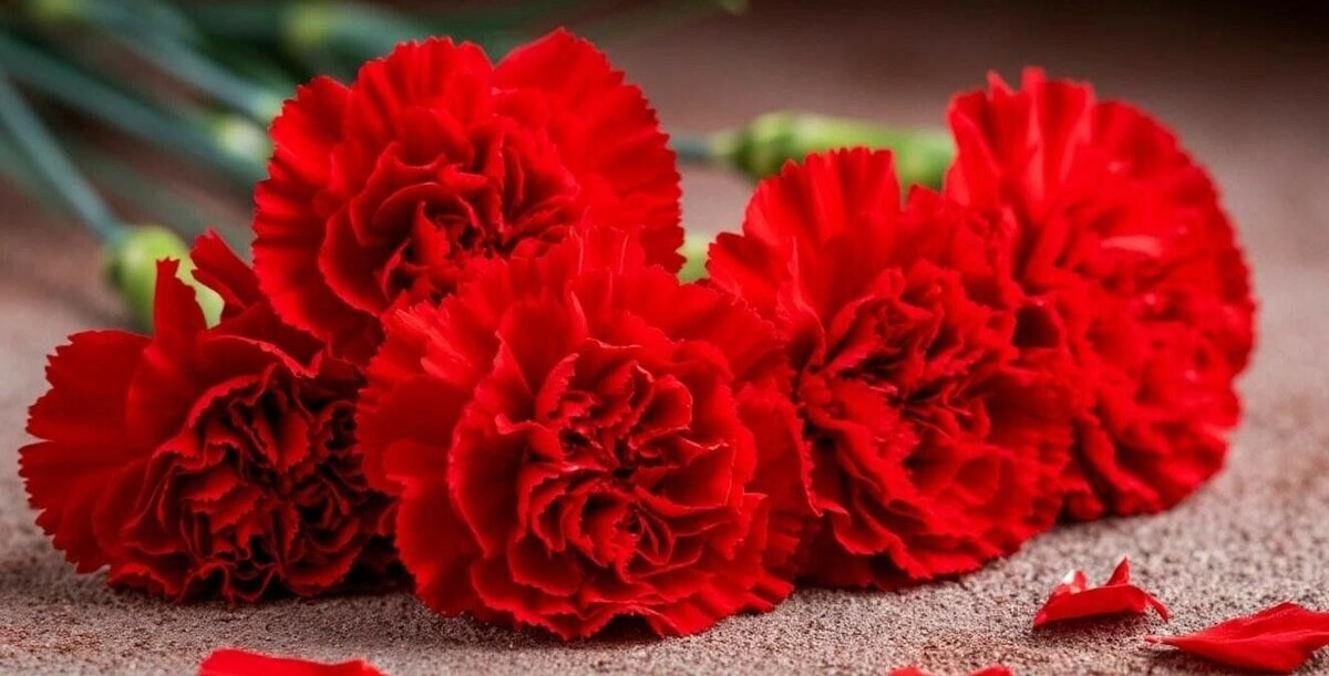 Фото из интернета.