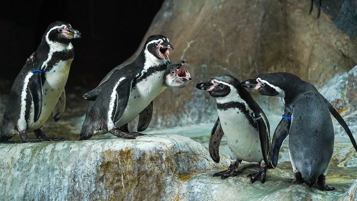    Фото: Александр Авилов / АГН Москва
