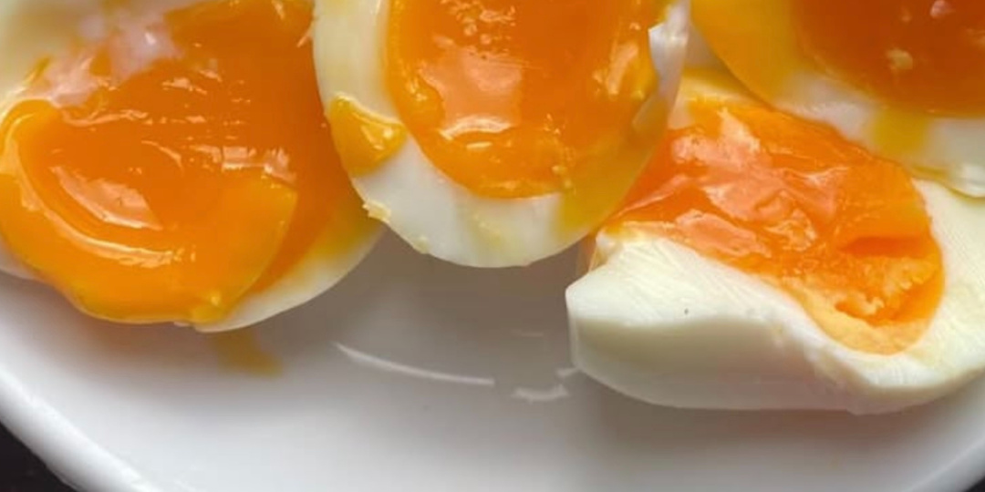 Яйца и печень: выводы гепатологов