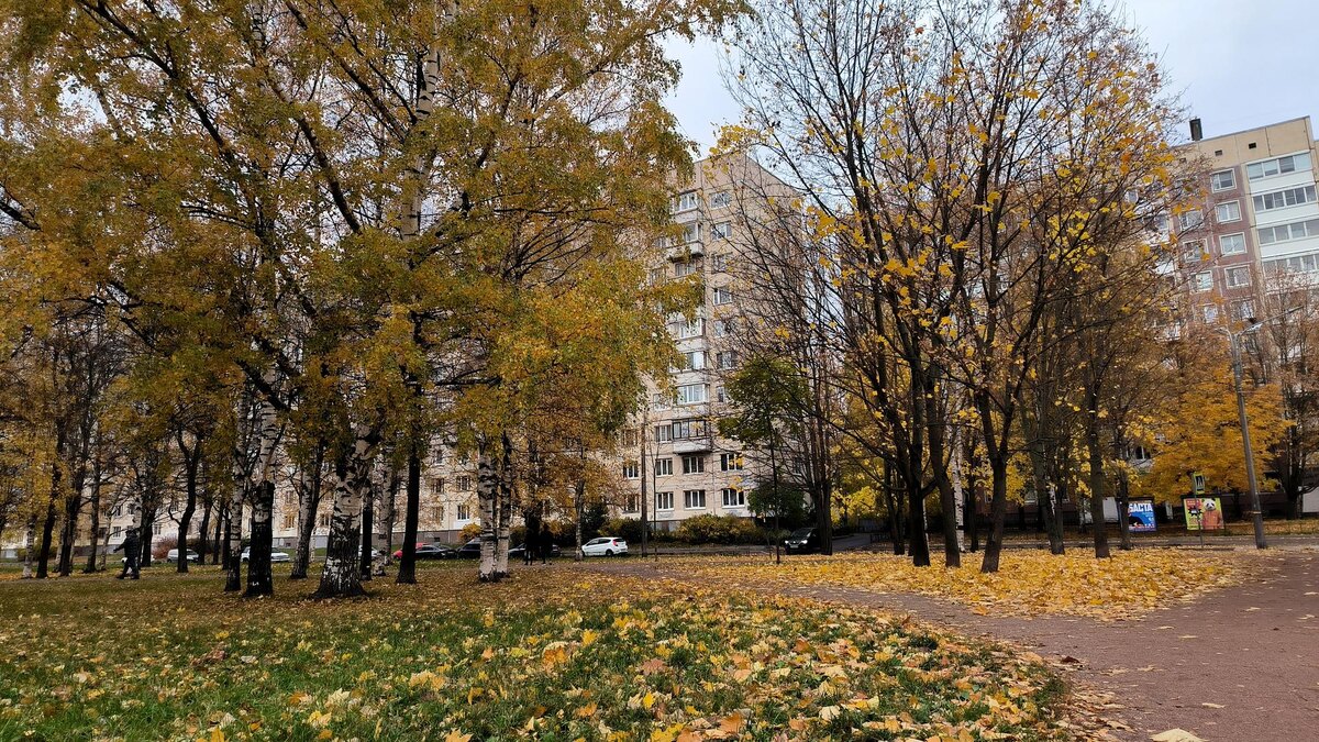    Фото: Maksim Konstantinov/Global Look Press