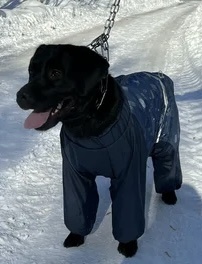 Фото из И-нета. Очень похоже, только у нас пока осень