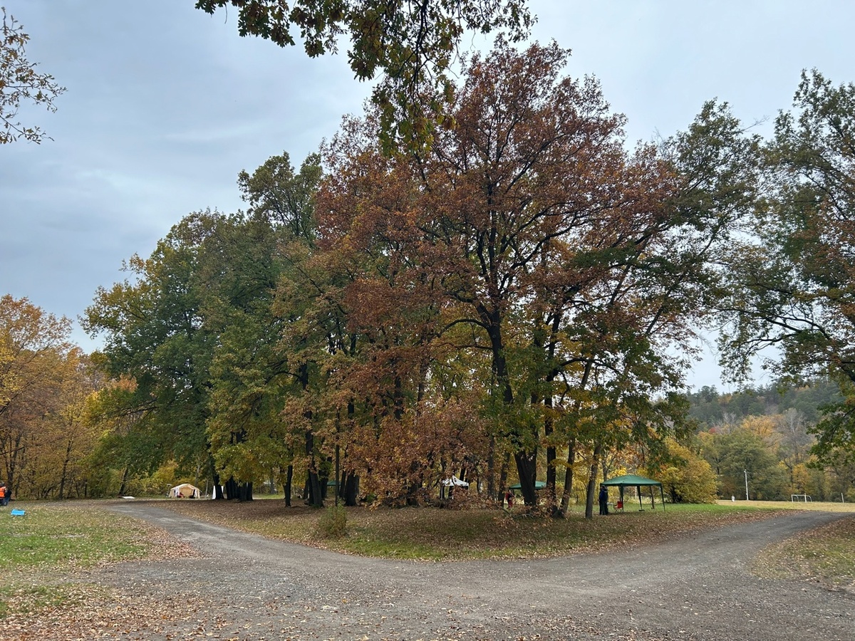    Фото: Анастасия Максименко