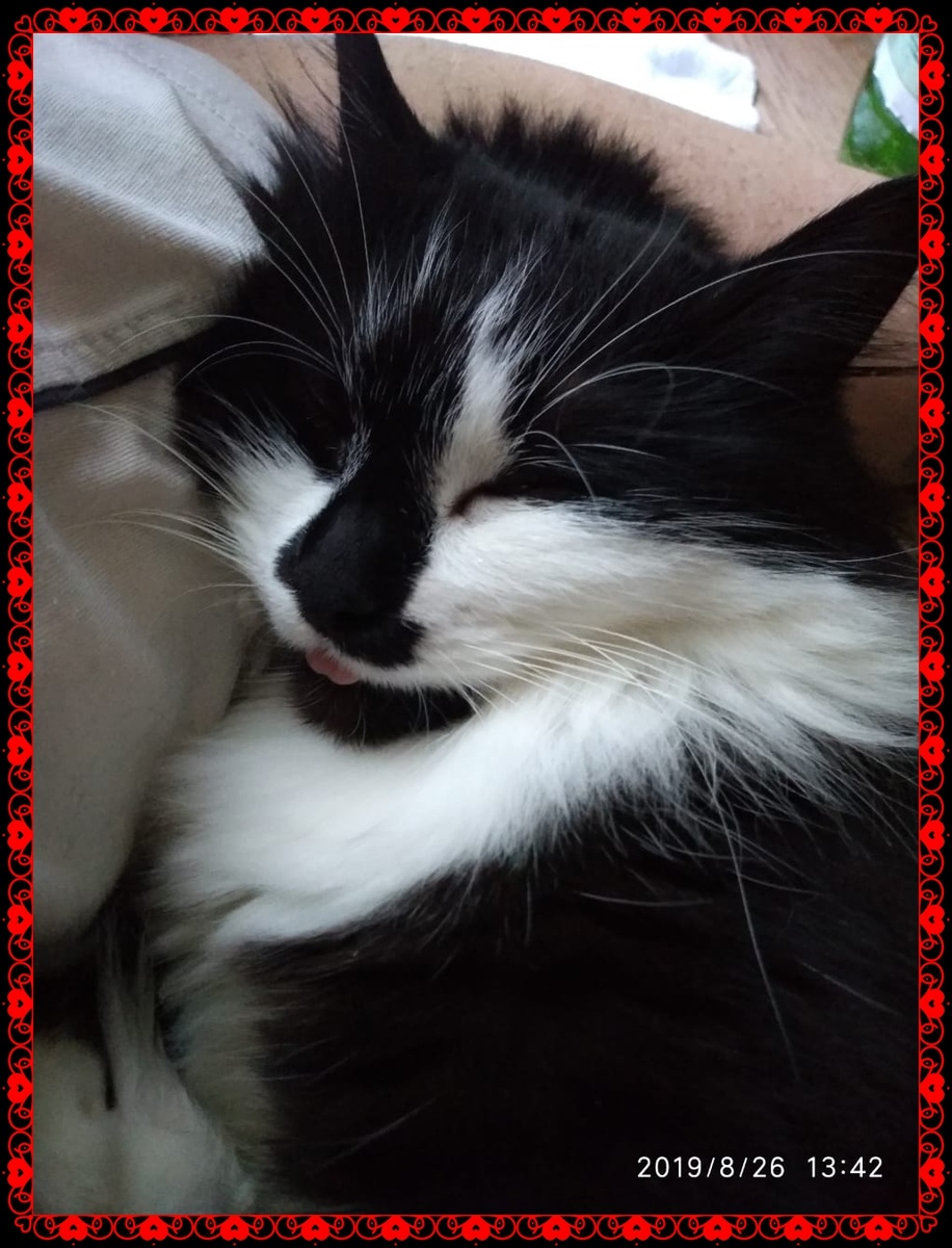 Когда они умирают, словно часть нашей жизни уходит вместе с ними...