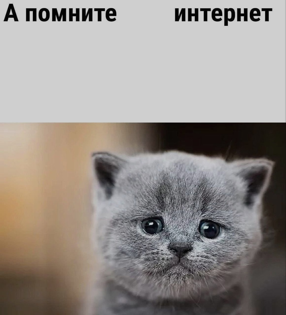 Подобного рода картинки все чаще и чаще начали появляться в ушлых пабликах именно из-за того, что народ верит вбросам.