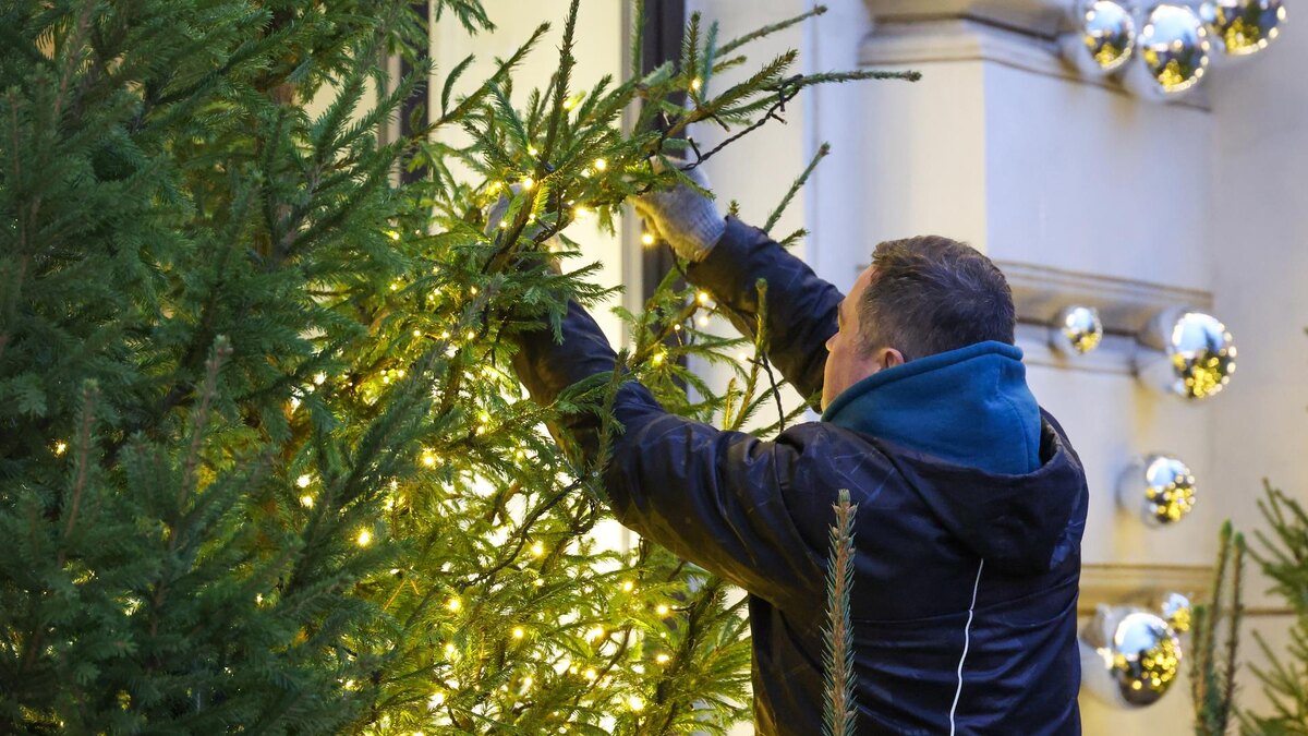    Фото: Belkin Alexey/news.ru