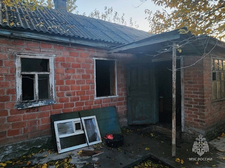    Фото ТГ-канала Госавтоинспекции Редактор