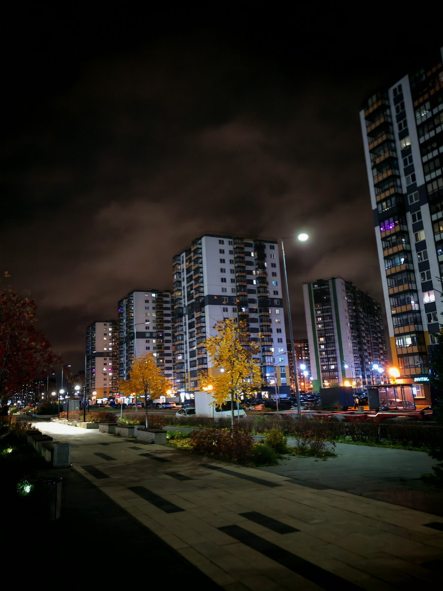 Утренний бульвар. 