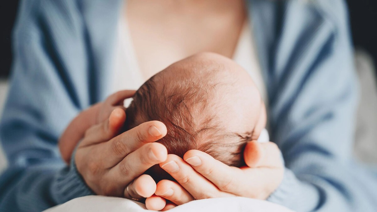    Фото: Natalia Deriabina/Shutterstock/Fotodom