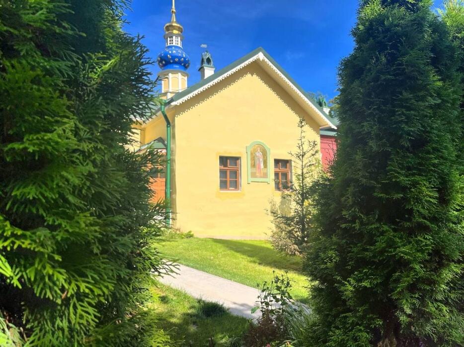 В Лазаревской церкви Псково-Печерского монастыря реставрируют настенную живопись
Фото: АНО «Возрождение объектов культурного наследия в городе Пскове (Псковской области)»