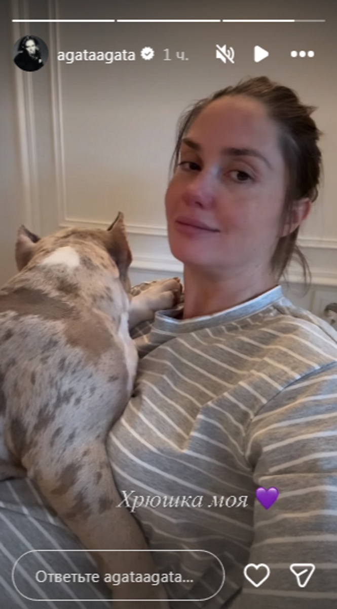 Агата Муцениеце в полосатом свитшоте проводит уикенд на диване с псом. Фото: соцсети