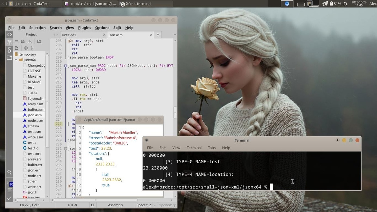 Так выглядит парсер JSON на чистом ассемблере под FreeBSD.