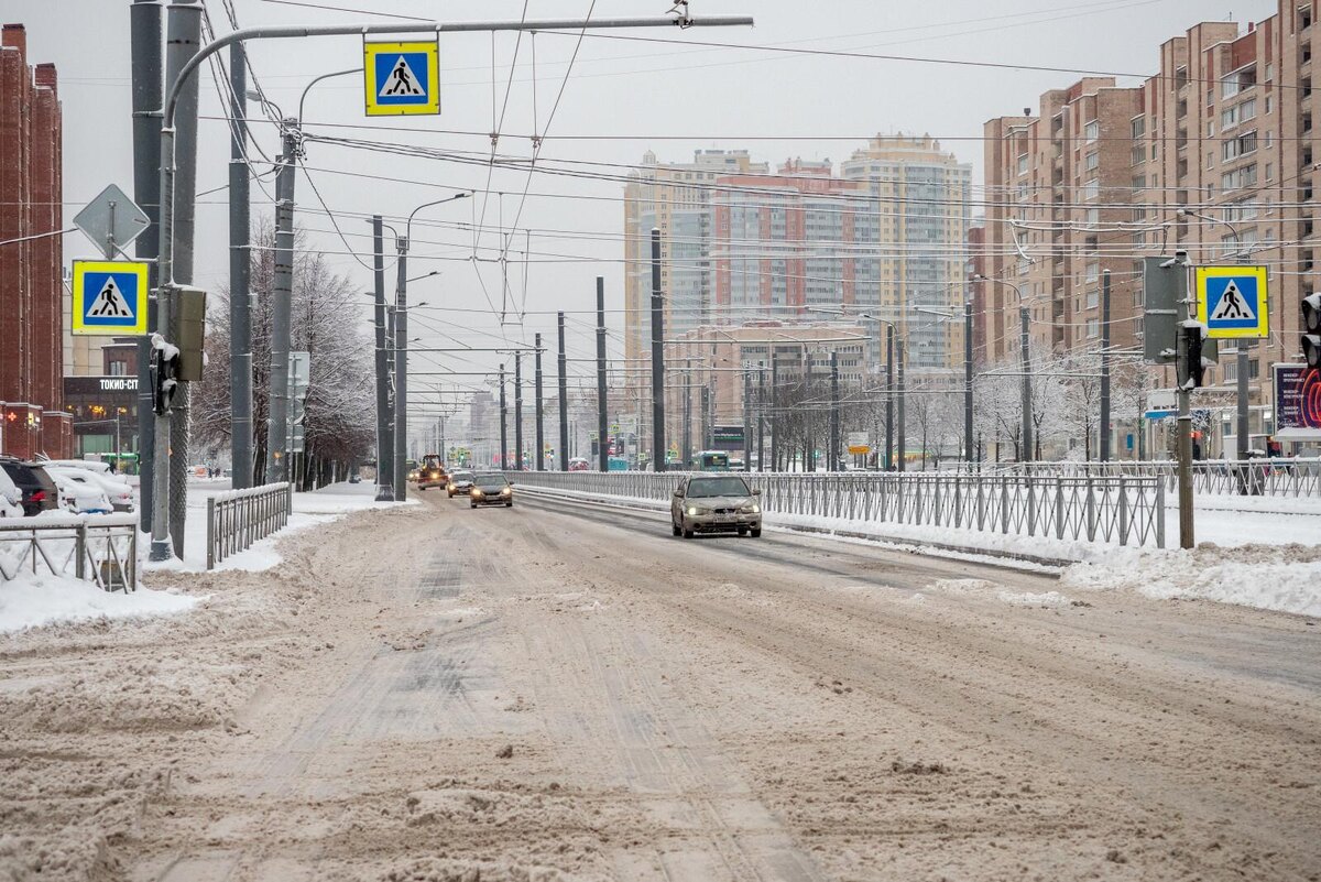 Фото: Олег Золото / «Петербургский дневник»