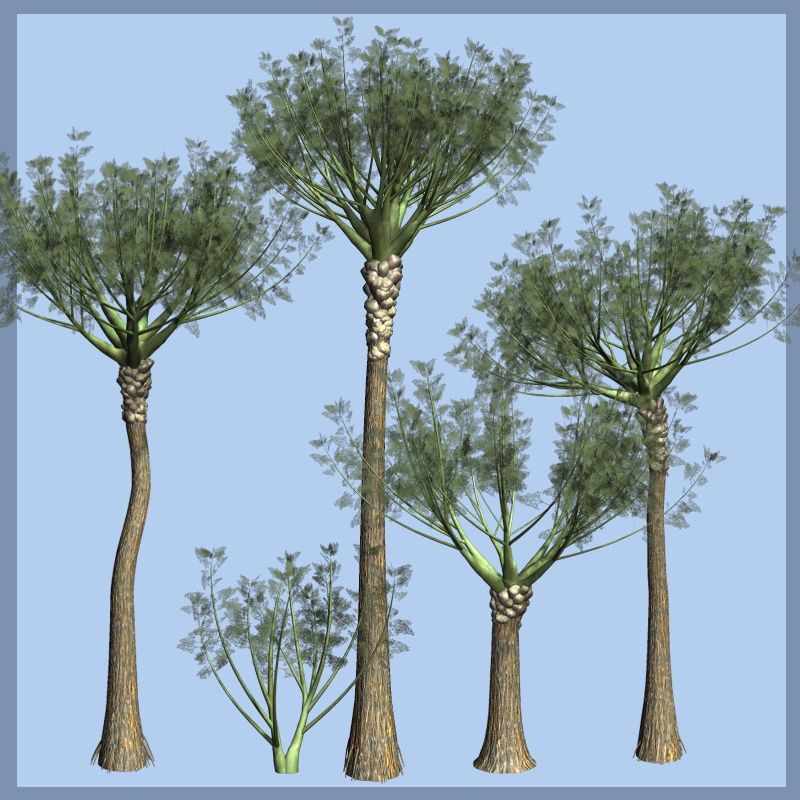 Реконструкция ваттиезы