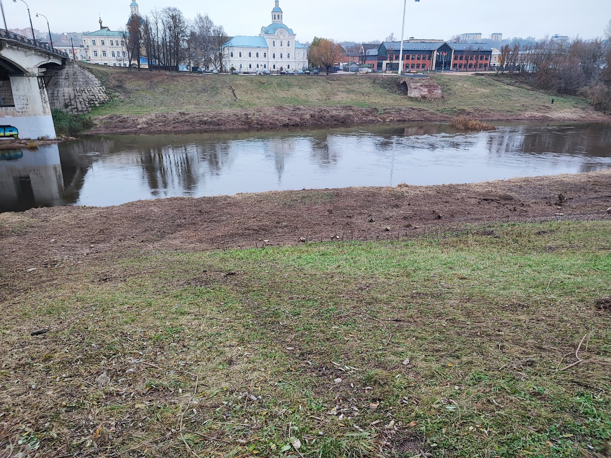 Здесь были кусты в два роста