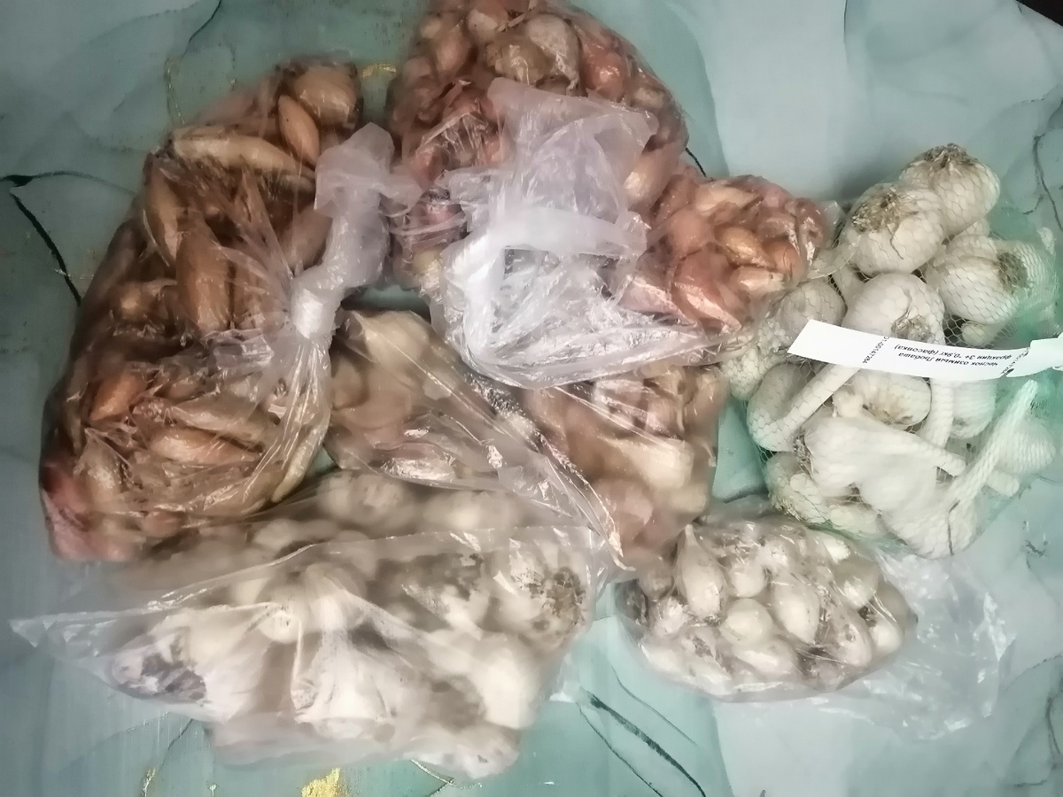 Лук и чеснок.