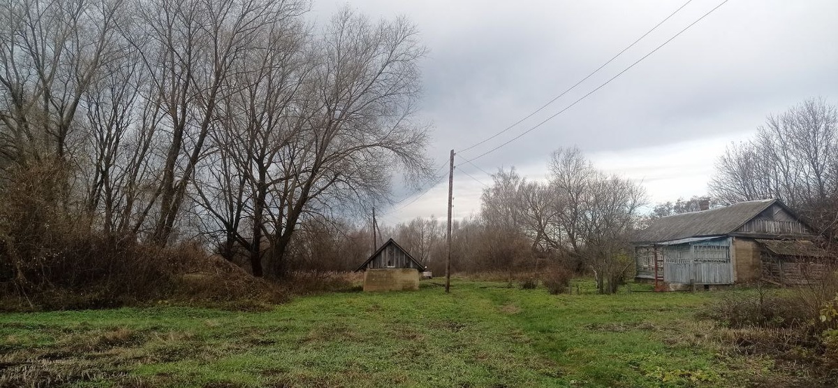 Деревня в ноябре