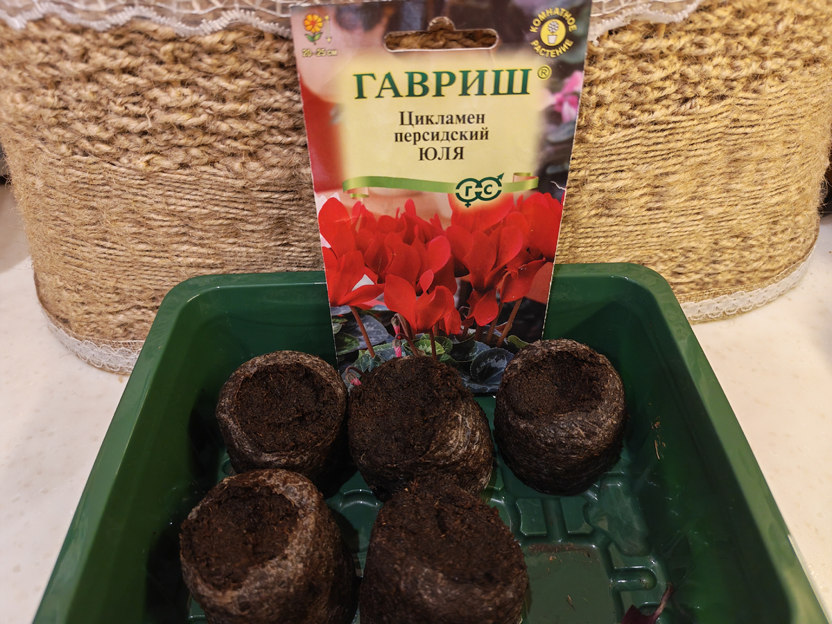 Оставленная для нового тура пачка семян в соревнованиях "Кто кого?". 