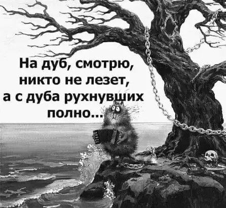 ФОТО ИЗ СВОБОДНОГО ДОСТУПА В  ИНТЕРНЕТЕ.