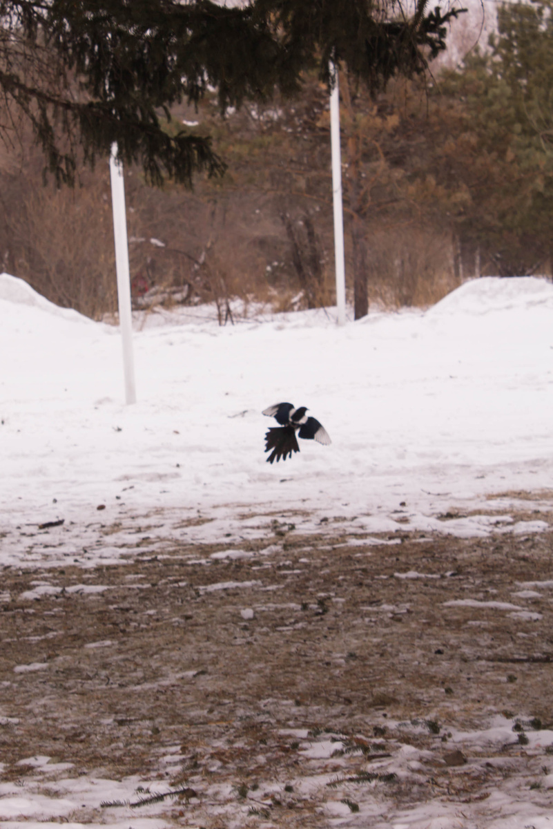 Фото автора 2023