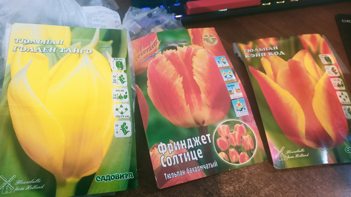 Желто-красные, что-то оранжевое в итоге получается. Такие сорта. Фото автора.