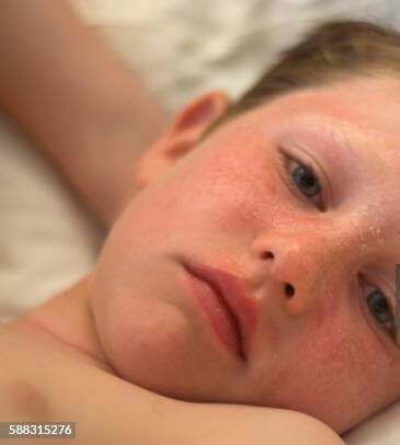 Фото использовано в иллюстарционных целях и взято из открытого доступа Яндекс-фото