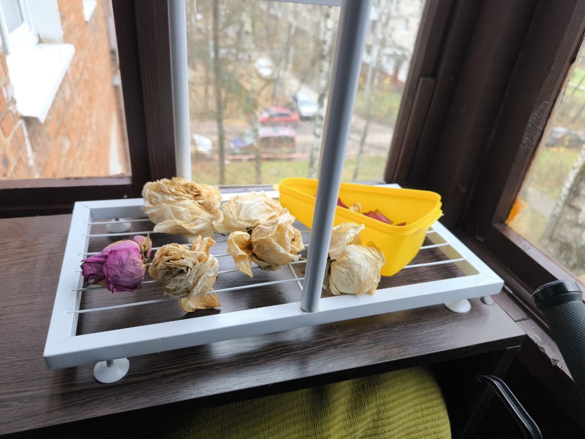 Вот так на балконе я храню бутоны роз