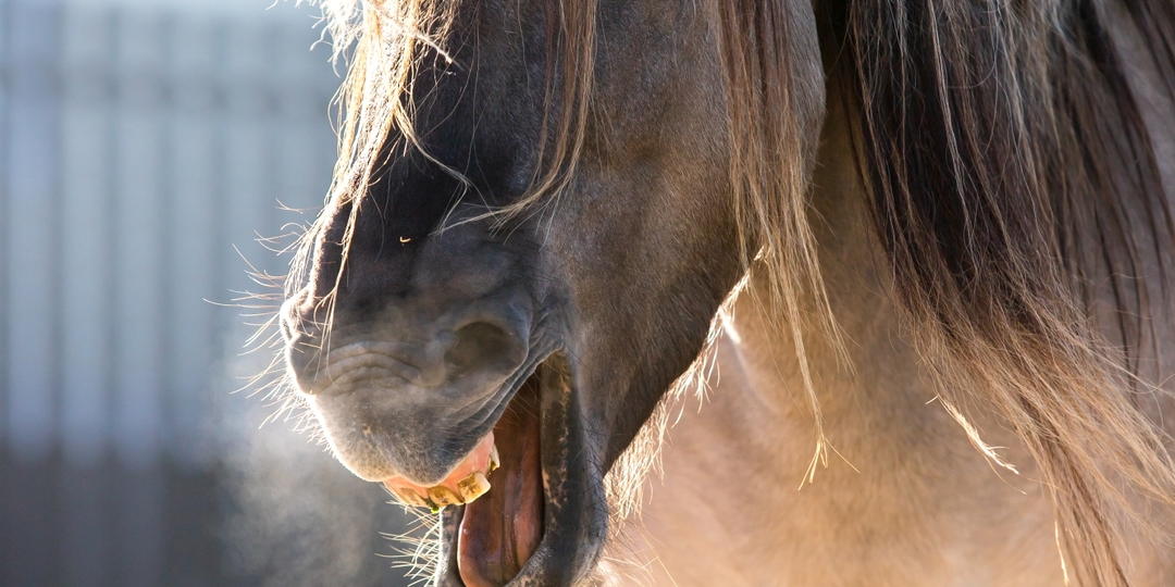 Терский берег Белого моря: что посмотреть, чем заняться, где жить?