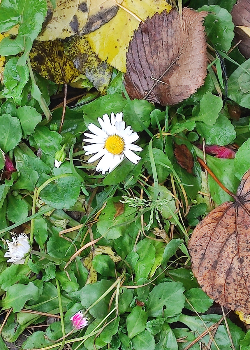 Зимы не будет.  Я узнавала.