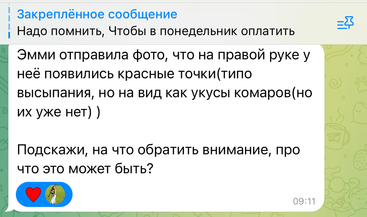 Фрагмент из переписки, где идет явная манипуляция одного, для привлечения внимания другого и как следствие возможного конфликта спустя время. Так как первый перекладывает свои симптомы на независимую сторону, тем самым, отводя свое внимание от происходящего у себя в жизни: мелкие высыпания - еще не воспаление, но уже начало того, что требует включения. 