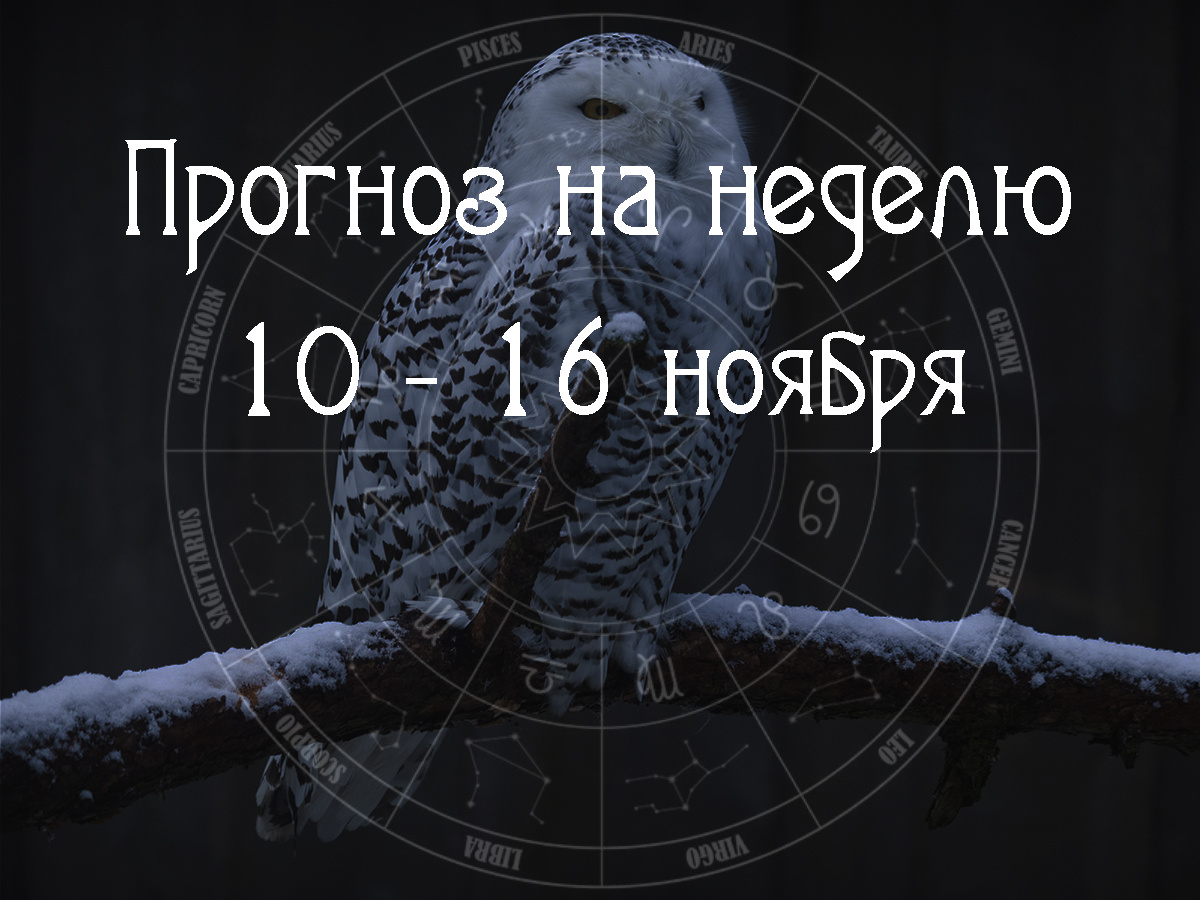 Астрологический прогноз на 10 – 16 ноября 2025 года