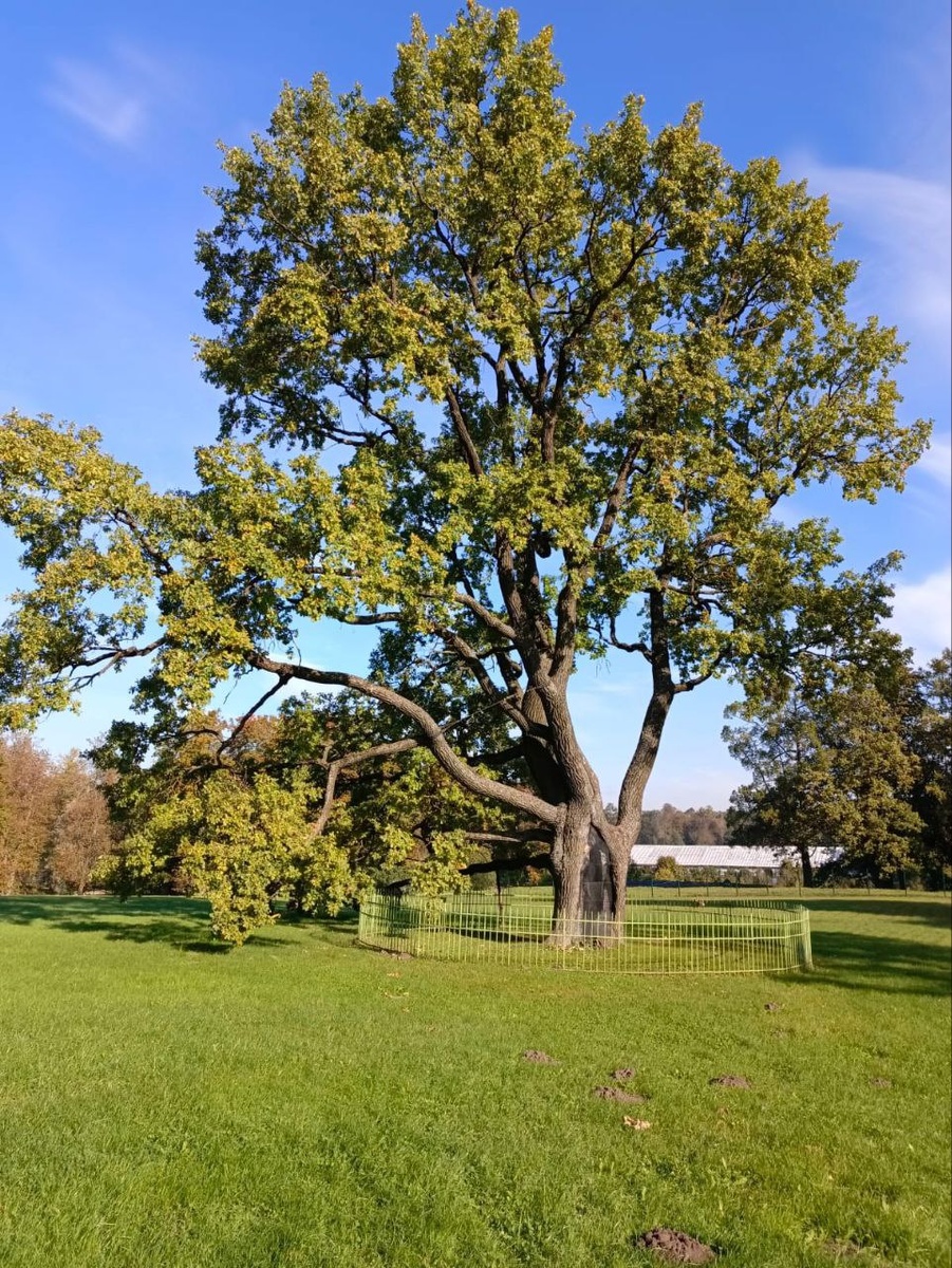 Еженедельный астропрогноз 10 – 16 ноября 2025 года