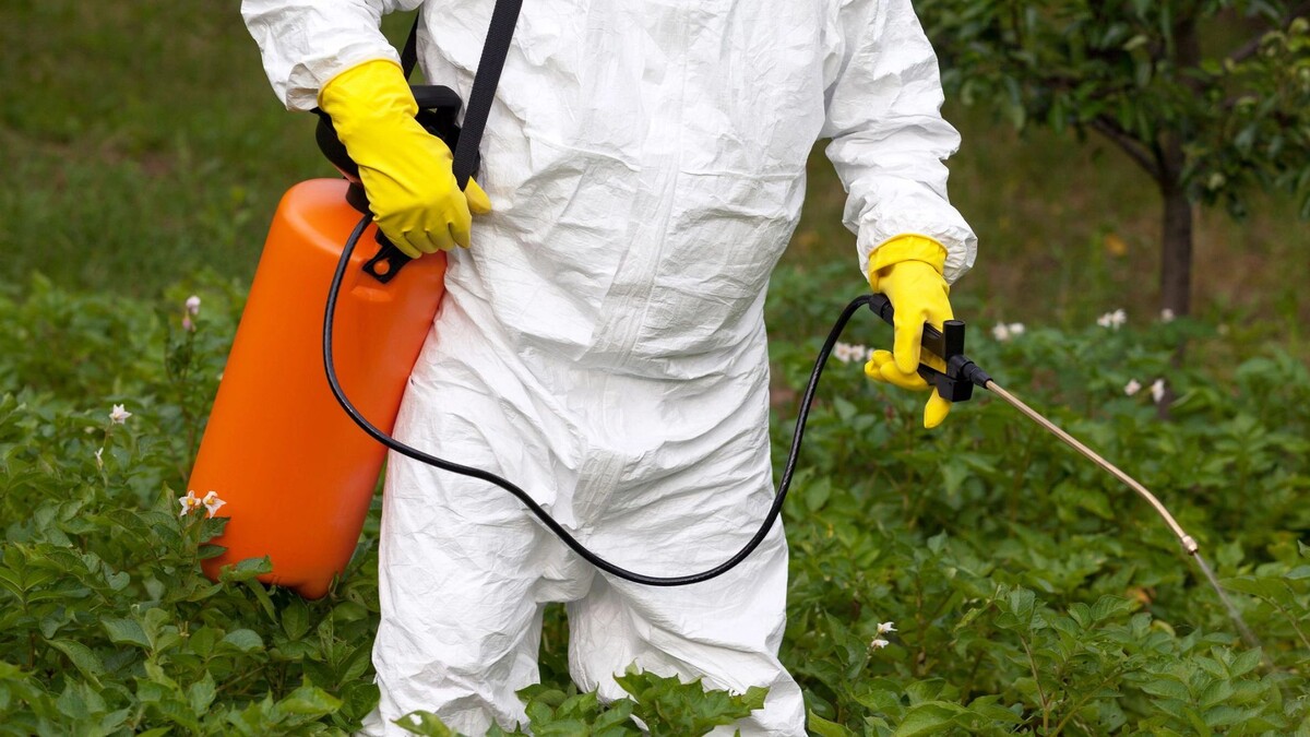    Фото: wellphoto/Shutterstock/Fotodom