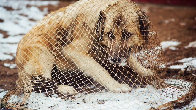 Фото: arhangelskoe.eps74.ru