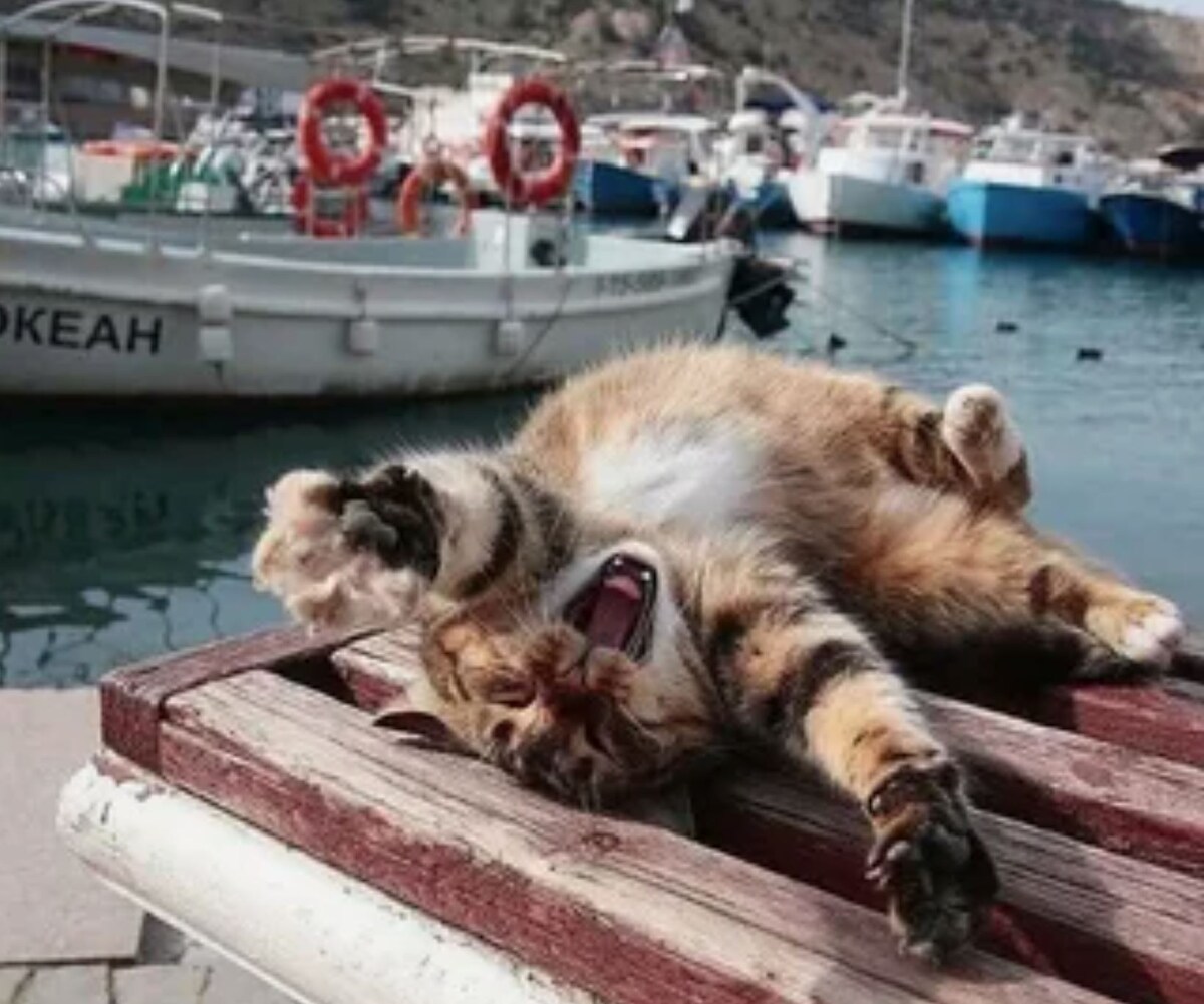 источник Яндекс-картинки