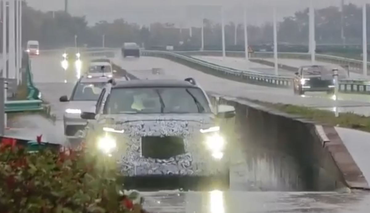 Небольшое видео с мулом в МАХ