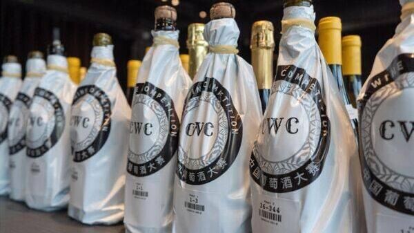    © Telegram Михаил Развожаев