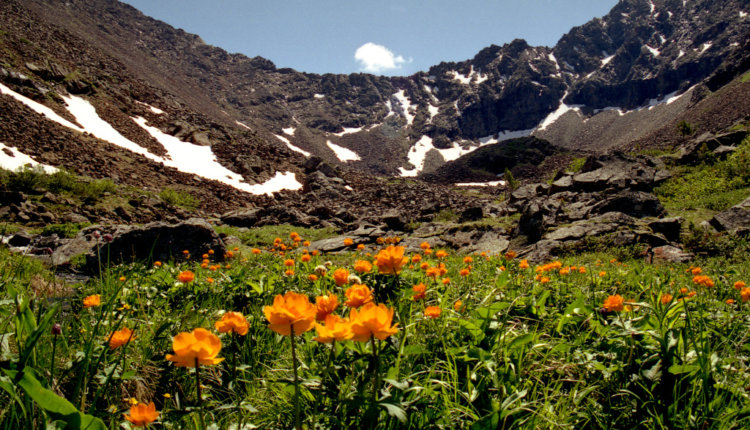 Источник новости: https://nia.eco/2025/11/05/109437/