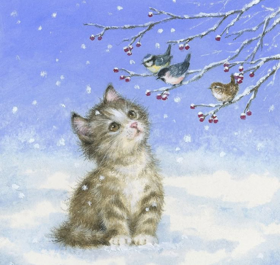   .   : my.mail.ru   .