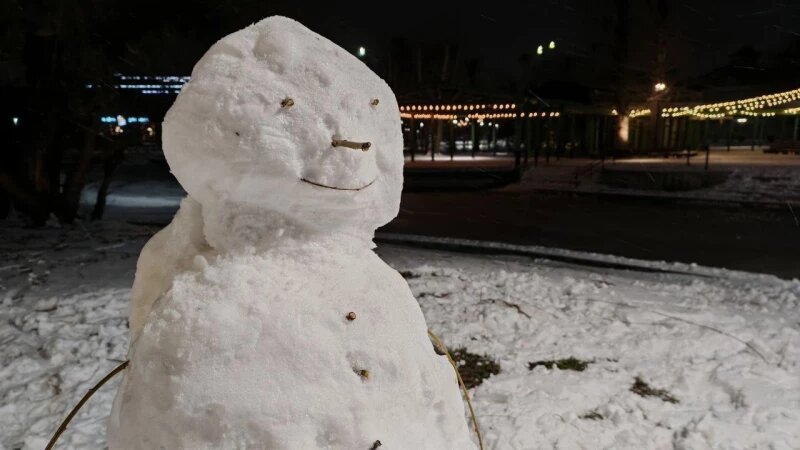     Снежный вечер в «Изумрудном» парке Александра Стаценко